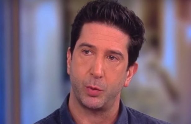 David Schwimmer houdt doorstart Friends tegen